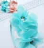 Wholesale fashion hair band with two flowers