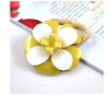 Wholesale 2011 new fashion hair clips