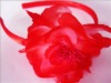 Wholesale 2010 silk flower hair band