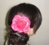 Wholesale Hot pink Rose flower