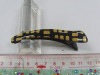 Wholesale Fashion plastic beak hair clip