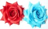 Wholesale fashion flower hair pin