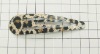 Wholesale fashion hair accessories/ fashion hair clips / the latest style of hair accessories