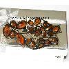 Wholesale vintage jewelry /hair claw/ hair accessories/hair ornament