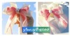 Wholesale hair clips