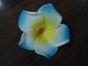 Wholesale Franqipani Plumeria