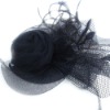 fashion hair accessory