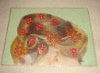 Wholesale hair sticker,hair accessory,acrylic sticker