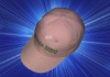 cotton baseball cap hat
