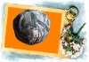 Wholesale fashion camouflage cap