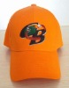 Wholesale baseball cap ane hat