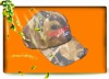 Wholesale cotton camouflage cap