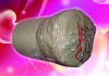 Wholesale baseball cap ane hat