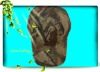 Wholesale fashion military cap