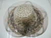 Wholesale Fashion hat straw hat
