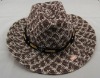 Wholesale new times hats and caps/sport caps racing/straw cowboy hats