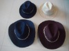 Wholesale Cowboy Caps and Hats