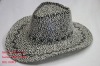 NTS101015-167 Cowboy hats/New design hats/cowboy caps