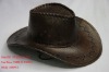 NTS101015-176 Cowboy hats/New design hats/cowboy caps
