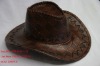 Wholesale NTS101015-175 Cowboy hats/New design hats/cowboy caps