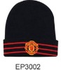 Wholesale 2010 fashion knit winter hat
