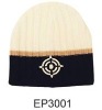 Wholesale 2010 fashion knit winter hat
