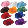 Wholesale promotion hats bsh-0720