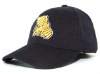 Wholesale Cotton Baseball Cap