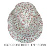 Wholesale fashion hat