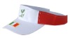 Sun Visors