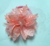 Wholesale hair holder