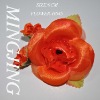 Wholesale Hair flower / fashion silk flower