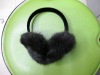 2010 ear cover