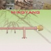 Wholesale F619365 single double extensible telescopic crystal end curtain rods