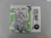 Wholesale Birthday music memory card