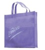 Wholesale Non woven bag for shopping