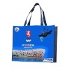 Wholesale new fashion bag for promotional gifts