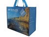 Wholesale 2011 newest pp non woven shopping bag