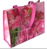 Wholesale Tote shopping bag MJ-L024