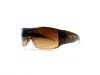 Name Brand Sunglasses