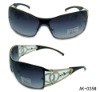 2010 new style sunglasses