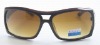 Popular fashion sunglasses collection display