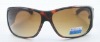 Popular fashion sunglasses collection display