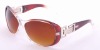 Wholesale Popular fashion sunglasses collection display