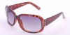 Wholesale Popular fashion sunglasses collection display