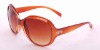 Wholesale Popular fashion sunglasses collection display