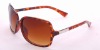 Popular fashion sunglasses collection display