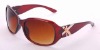 Popular fashion sunglasses collection display