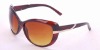 Popular fashion sunglasses collection display
