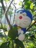 Wholesale PVC saving bank